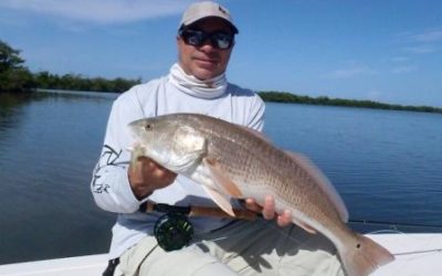 Sightfishing redfish