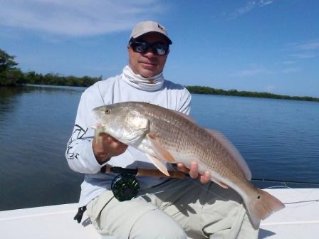 Sightfishing redfish