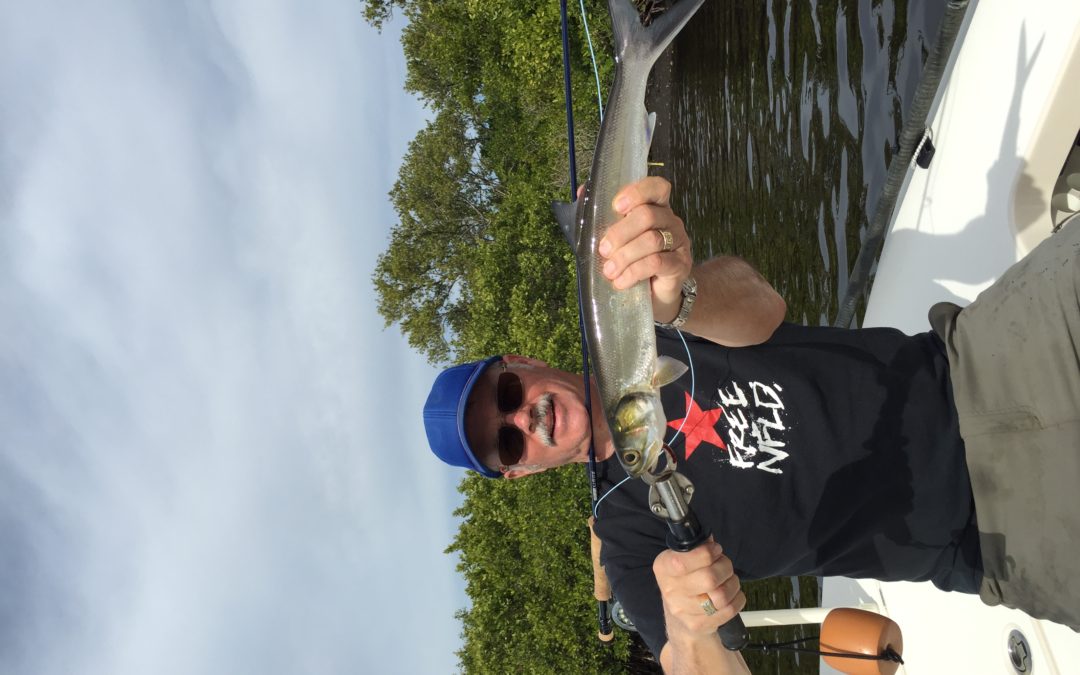 Ladyfish and learning new skill sets