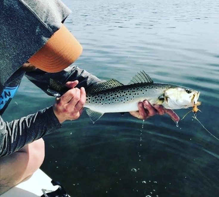 Late December conditions and bite