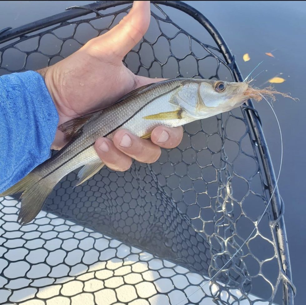 Charlotte Harbor fishing report | Punta Gorda Fly Fishing Charters