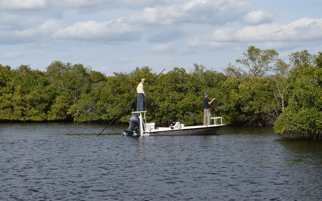 Charlotte Harbor fishing report