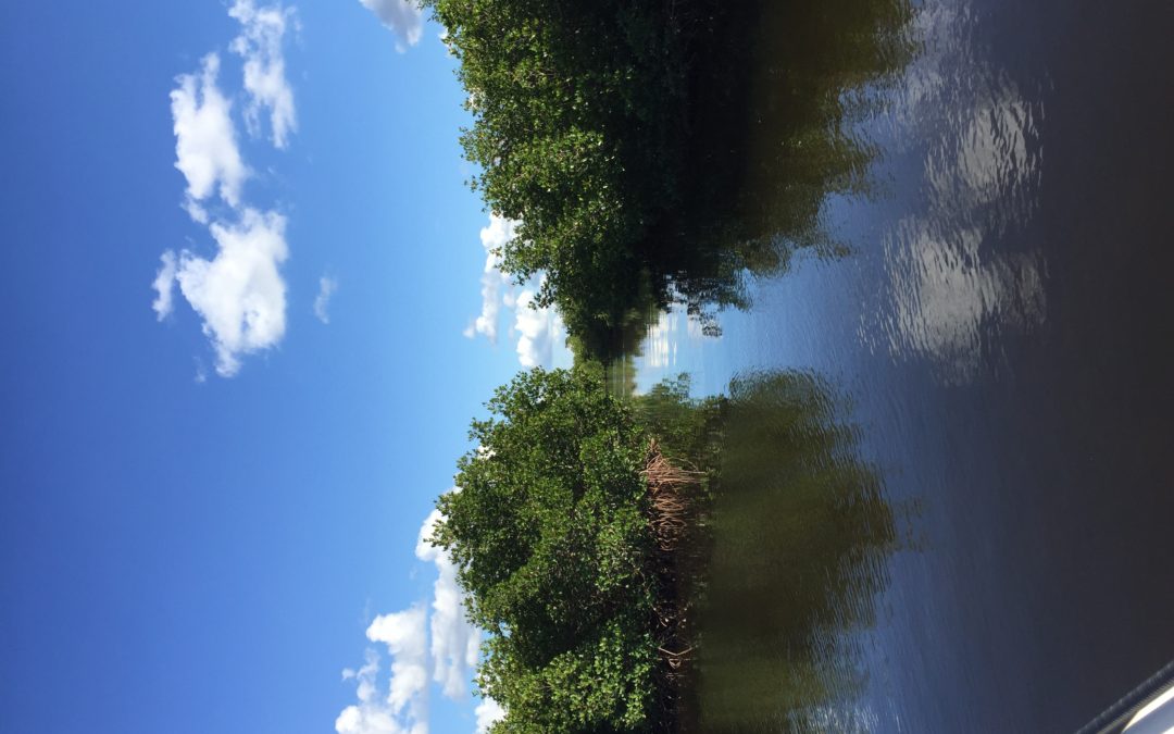 Charlotte Harbor fishing report