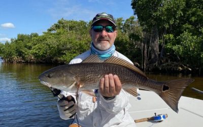 Creek mouth schools