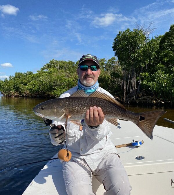 Creek mouth schools