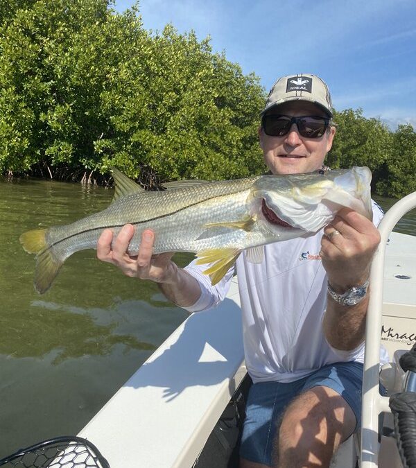 Snook on the move