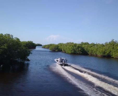 Charlotte Harbor fishing report