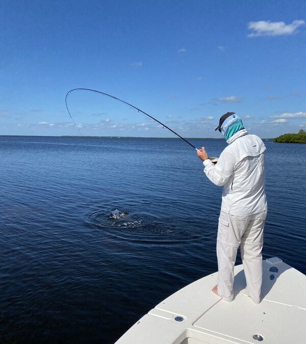 Charlotte Harbor fishing report