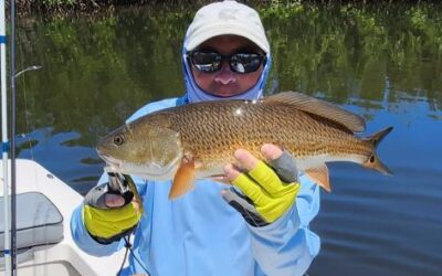Charlotte Harbor fishing report