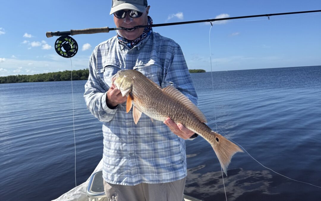 Redfish are grouping up
